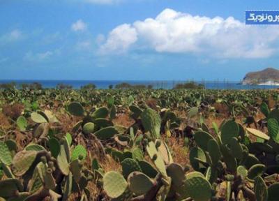 زیباترین سواحل اندلس زیباترین سواحل اندلس